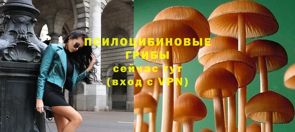 скорость Пересвет