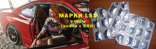 стаф Абинск