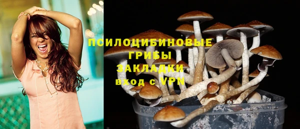трава Абдулино